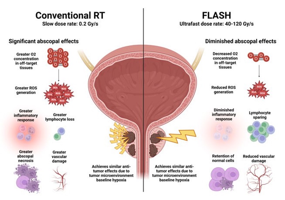 Conventional vs Flash Radiation