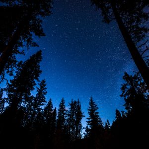 Starry night sky photo from UW photos